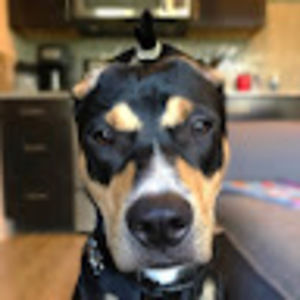 Meet your Posher, Angel